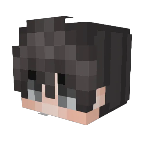 poron1 Minecraft avatar head, 3D render