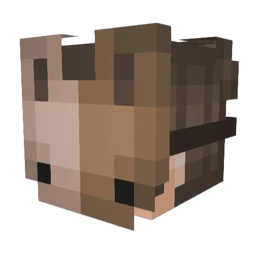 portal305 Minecraft avatar head, 3D render