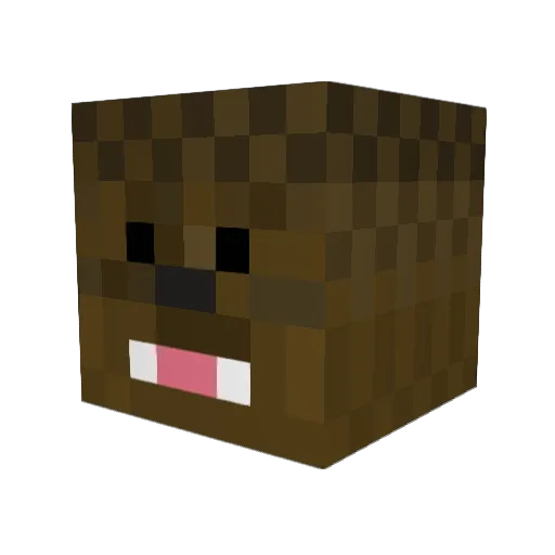 porter2303 Minecraft avatar head, 3D render