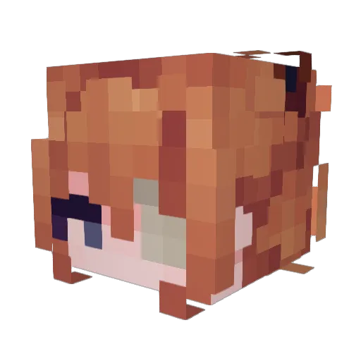 pos1 Minecraft avatar head, 3D render