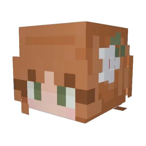 pos5nyasha Minecraft avatar head, 3D render