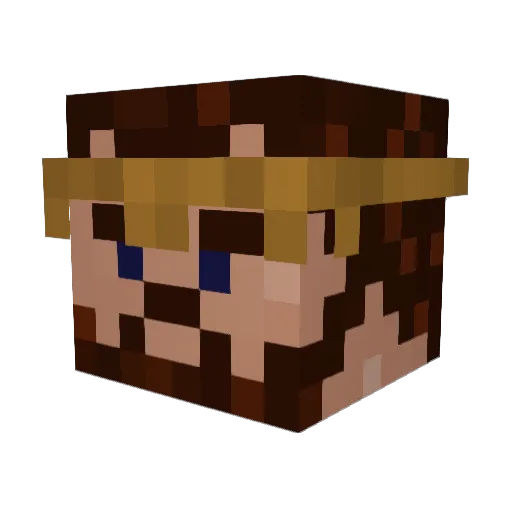 poseidon224 Minecraft avatar head, 3D render