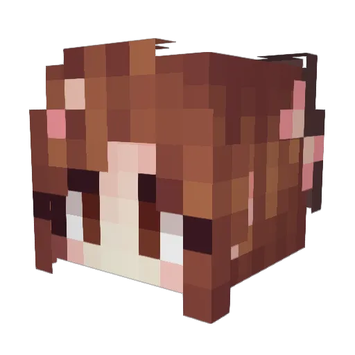 posia Minecraft avatar head, 3D render