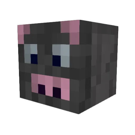possum_boy Minecraft avatar head, 3D render