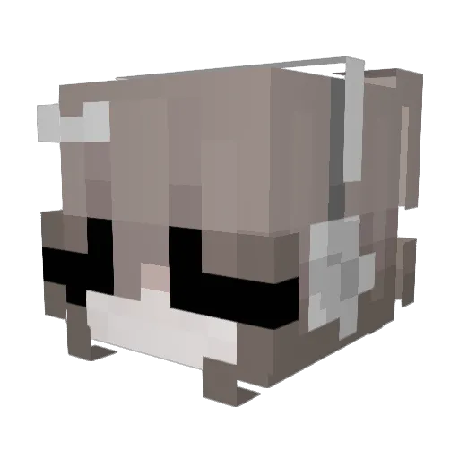 possumeyes Minecraft avatar head, 3D render