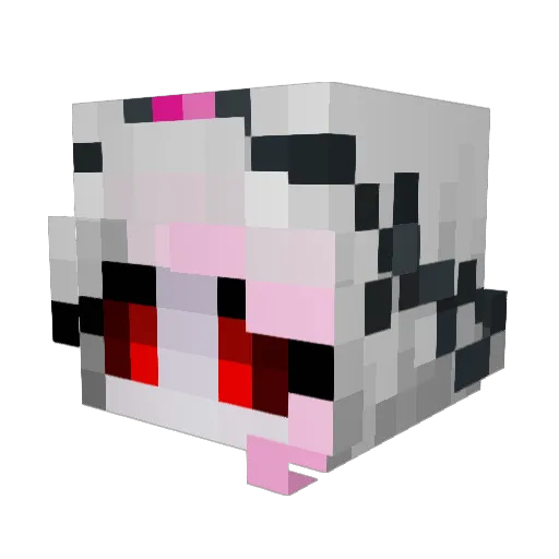 possumslippers Minecraft avatar head, 3D render