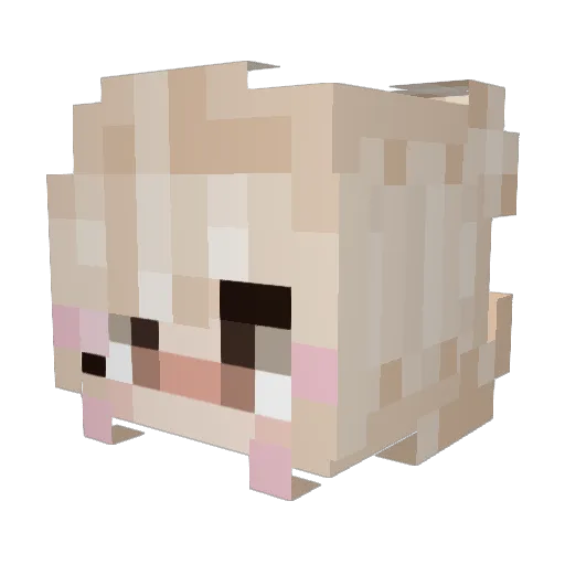 possumzlol Minecraft avatar head, 3D render