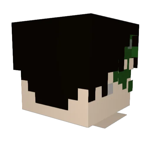 postalkitty Minecraft avatar head, 3D render