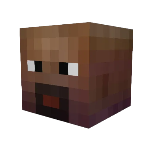 postduifgamer12 Minecraft avatar head, 3D render