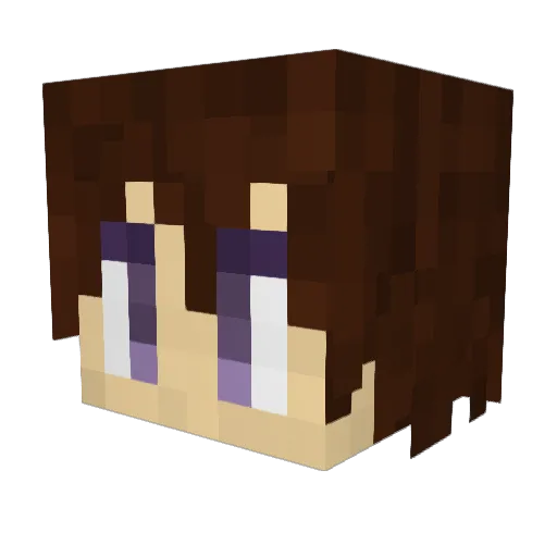 pot8os10 Minecraft avatar head, 3D render