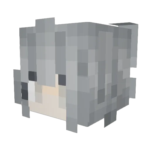 potato_kingdom12 Minecraft avatar head, 3D render