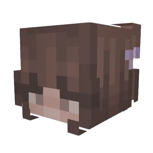 potato_s0up Minecraft avatar head, 3D render