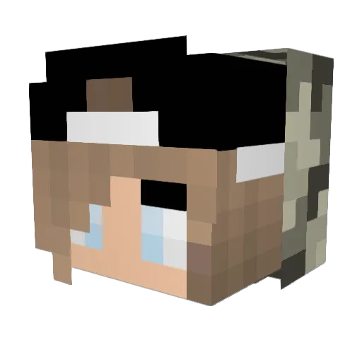 potatoepeeps1 Minecraft avatar head, 3D render