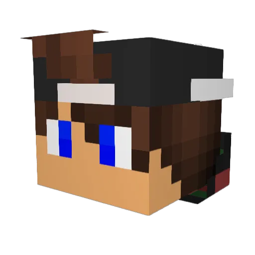 potatokingjr Minecraft avatar head, 3D render