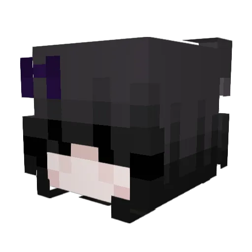 potatomaster13 Minecraft avatar head, 3D render