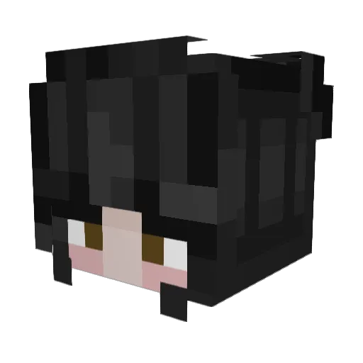 potatomato27 Minecraft avatar head, 3D render