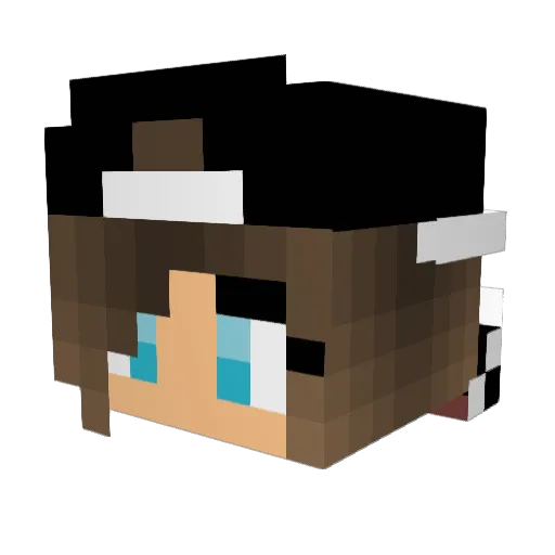 potatonugget16 Minecraft avatar head, 3D render