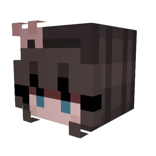 poteten11 Minecraft avatar head, 3D render
