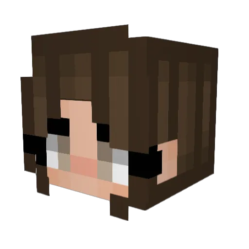 potipotas Minecraft avatar head, 3D render