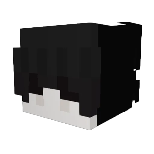 potpot16 Minecraft avatar head, 3D render