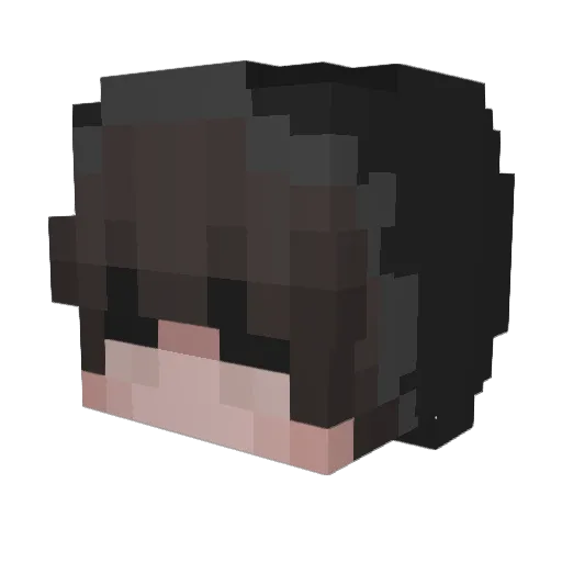 pottedplants Minecraft avatar head, 3D render
