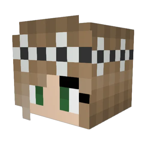 potterfan2006 Minecraft avatar head, 3D render