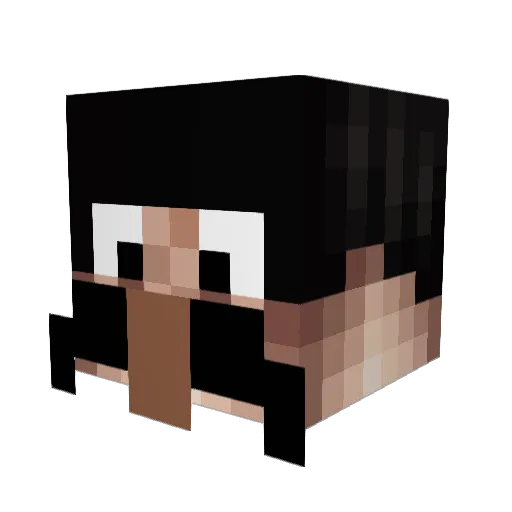 pottioh1 Minecraft avatar head, 3D render