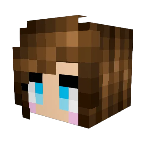 poudeltomtom Minecraft avatar head, 3D render