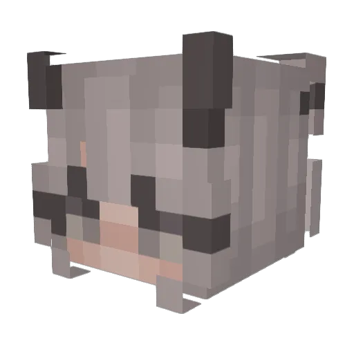 poukyzilla Minecraft avatar head, 3D render
