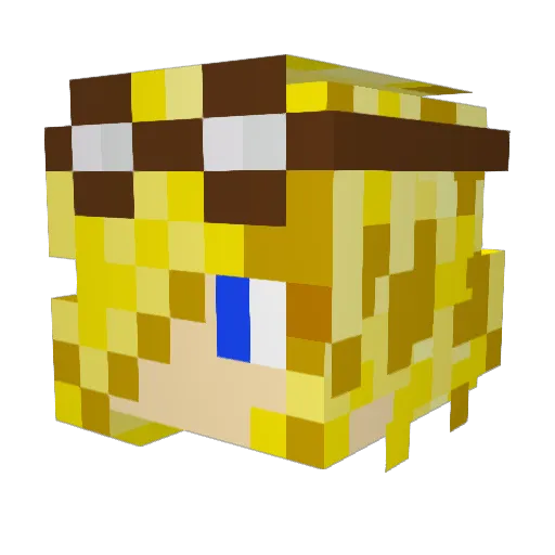 poultryman1993 Minecraft avatar head, 3D render