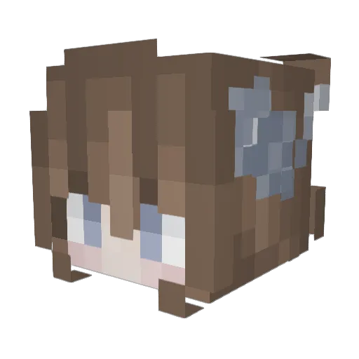poundblaster101 Minecraft avatar head, 3D render