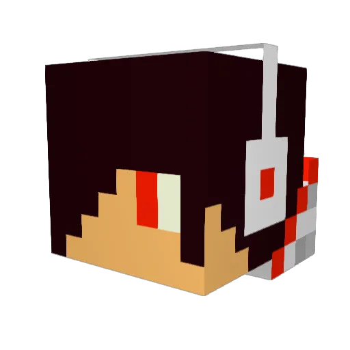 poundpuppy1 Minecraft avatar head, 3D render