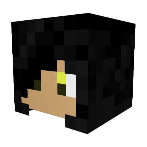 poung10 Minecraft avatar head, 3D render