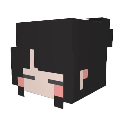 poussin321 Minecraft avatar head, 3D render