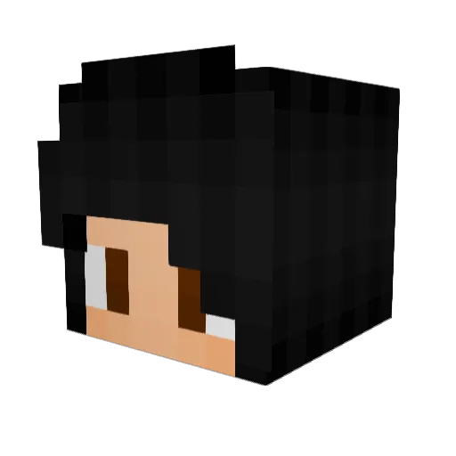 poussin_canadien Minecraft avatar head, 3D render