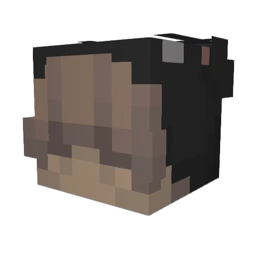 pouty_boi Minecraft avatar head, 3D render