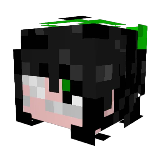 Minecraft-Avatar von povur: Kopf als 3D-Render