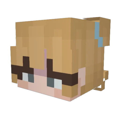 powco Minecraft avatar head, 3D render