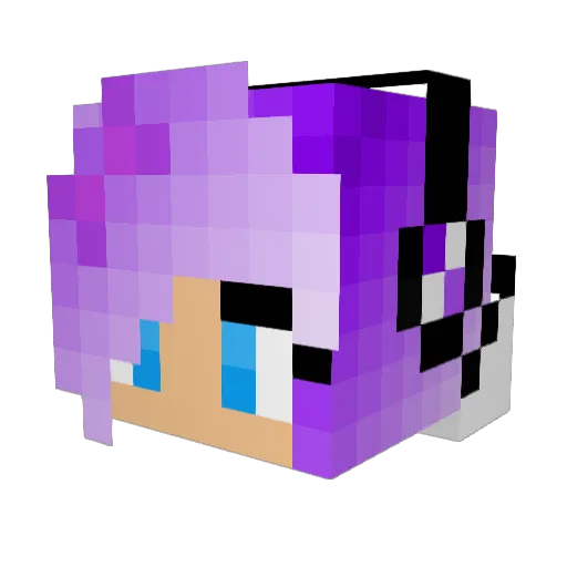 powerless_ Minecraft avatar head, 3D render