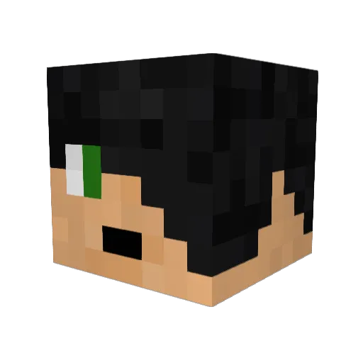 powersurge200 Minecraft avatar head, 3D render