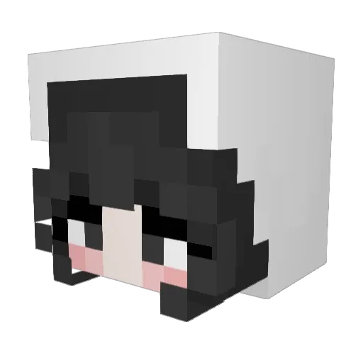 poxxn Minecraft avatar head, 3D render