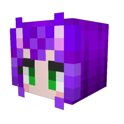 poyo_2525 Minecraft avatar head, 3D render
