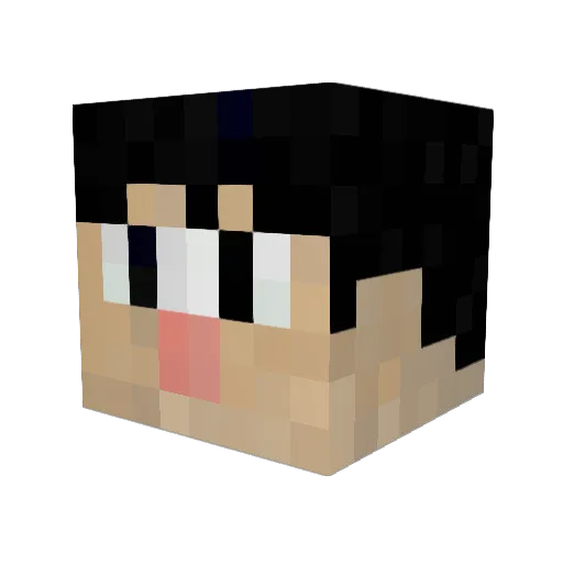 poyon_ Minecraft avatar head, 3D render