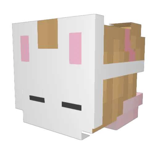 poyraz012 Minecraft avatar head, 3D render