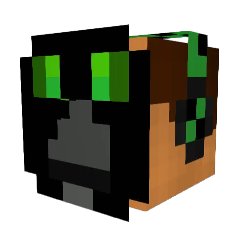 pp55o23jv Minecraft avatar head, 3D render