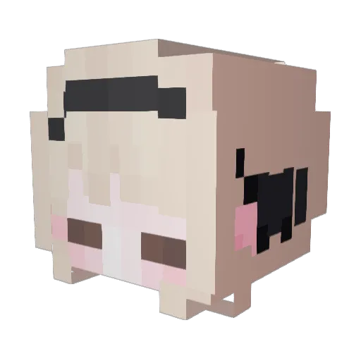 pp7i Minecraft avatar head, 3D render