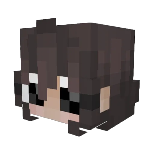 ppTheMoth Minecraft avatar head, 3D render