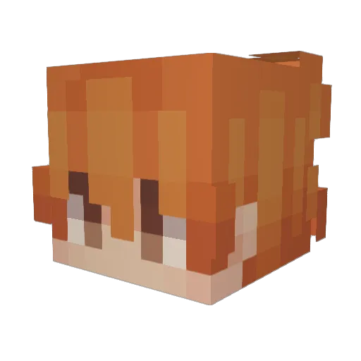 ppWiktor Minecraft avatar head, 3D render