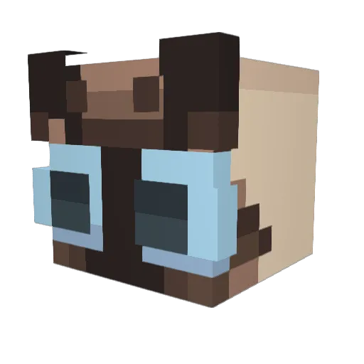 pp_pppp_ Minecraft avatar head, 3D render