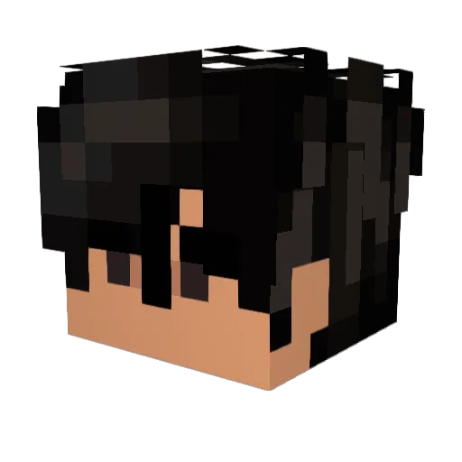 pp_verysoft Minecraft avatar head, 3D render